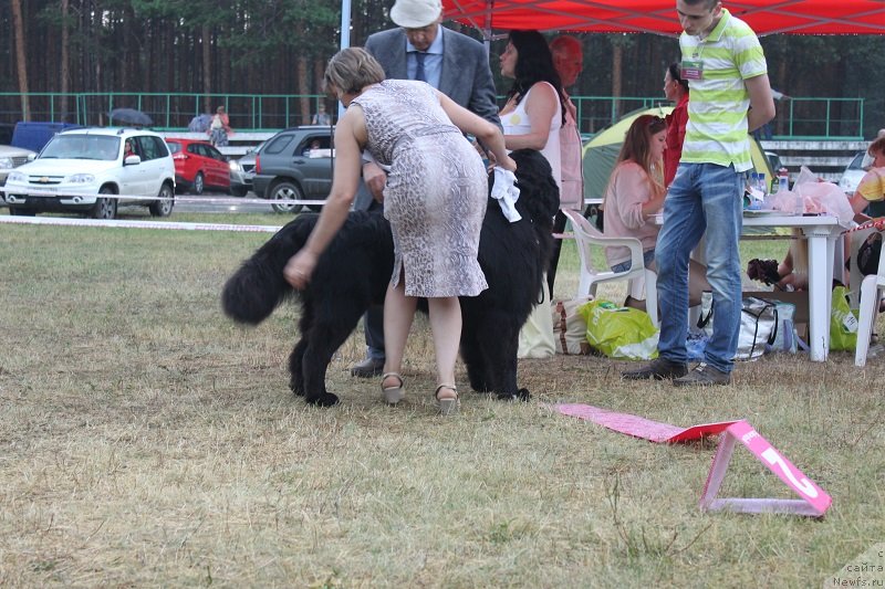 Фотография № 130119