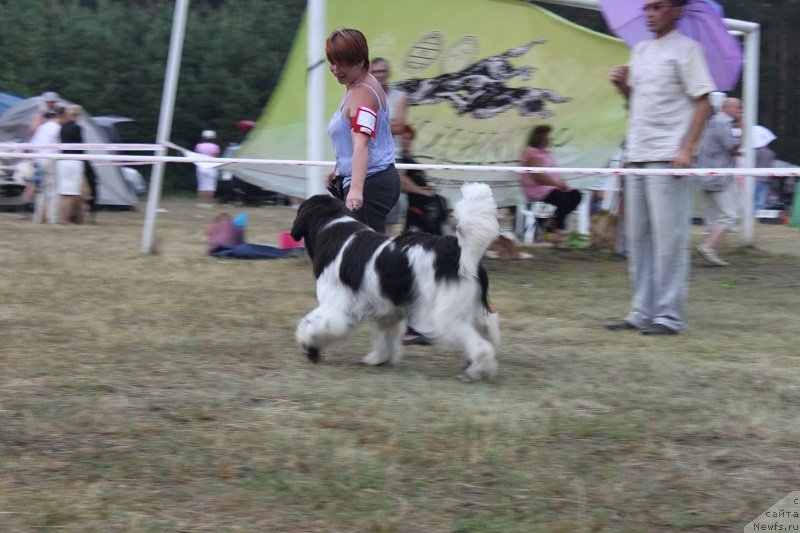 Фотография № 130123