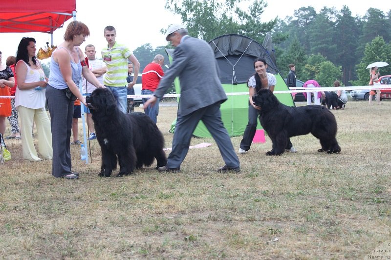 Фотография № 130124