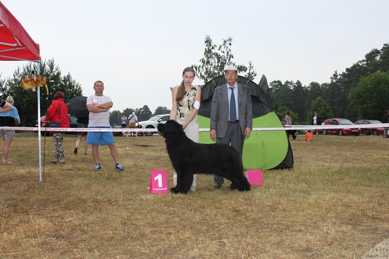 Фотография № 130127