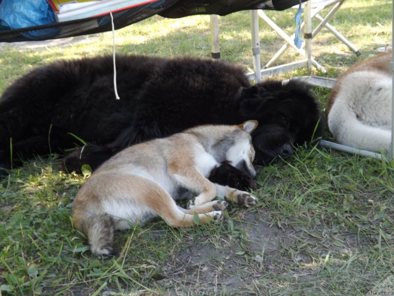 Фотография № 130136