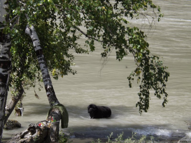 Фотография № 130139