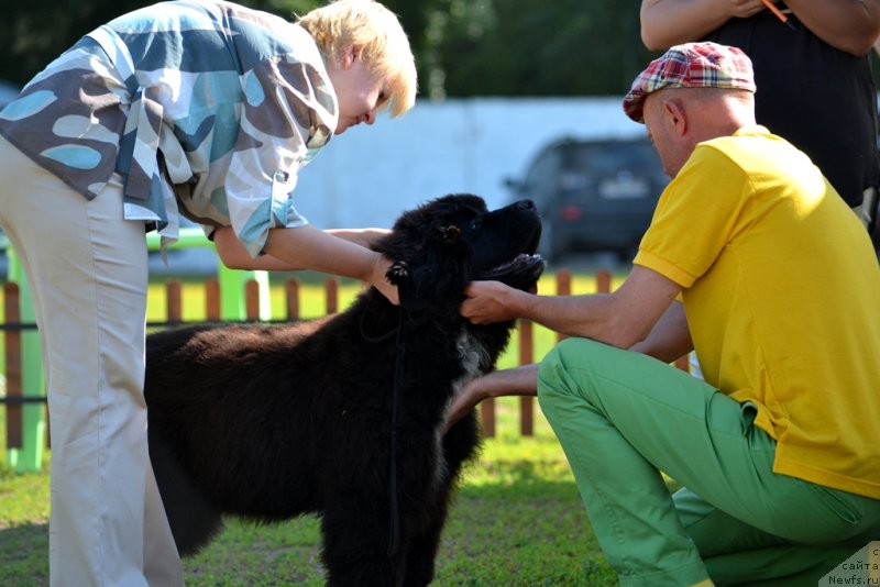 Фотография № 130162