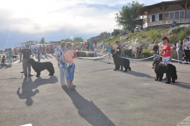 Фотография № 130174