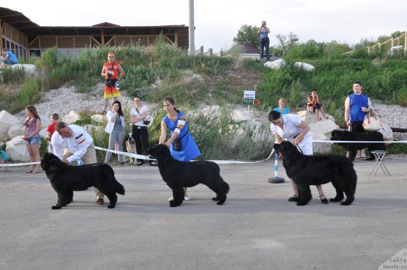 Фотография № 130190