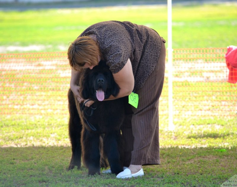 Фотография № 130192