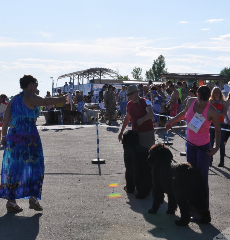 Фотография № 130196