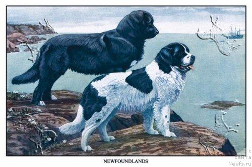 Фотография № 13020