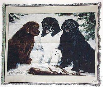 Фотография № 13021