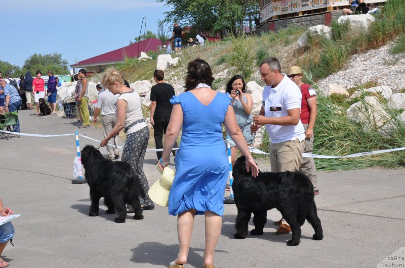 Фотография № 130213