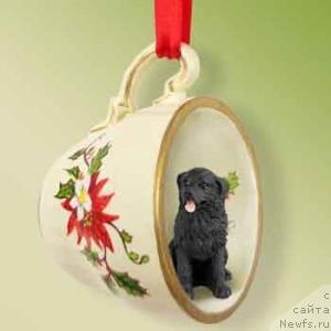 Фотография № 13023