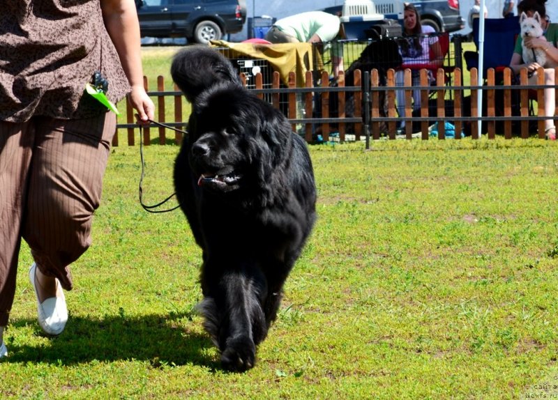 Фотография № 130241