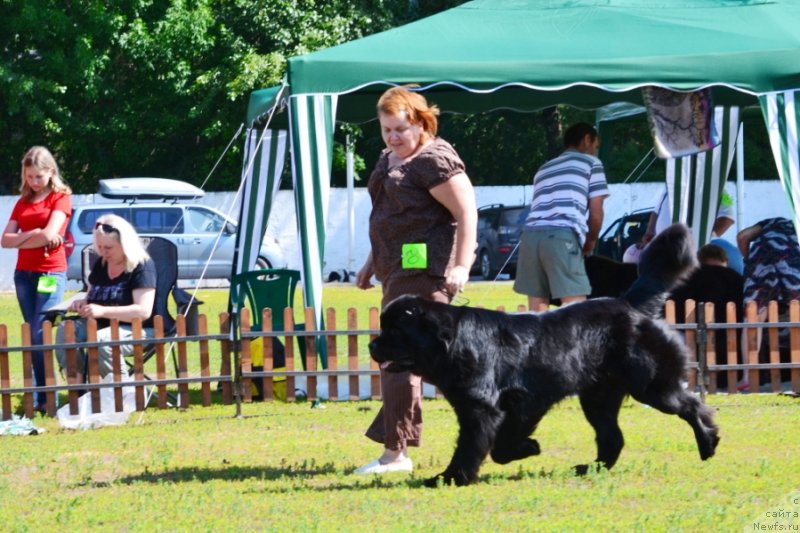 Фотография № 130242