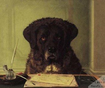 Фотография № 13025