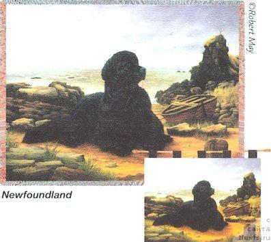 Фотография № 13027