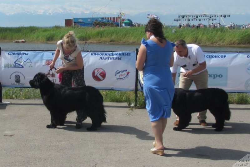 Фотография № 130284