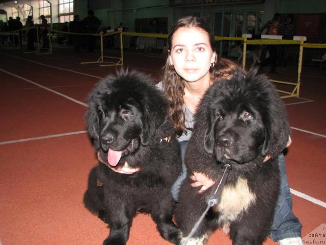 Фото: Рокот Волны Варга Кара Аюлар (Rokot Volny Varga Kara Ayular), Робертино Раскошный Мальчишка Отарго Аютка (Robertino Roskoshny Malchishka Otargo Ayutka), Катеринка Классен