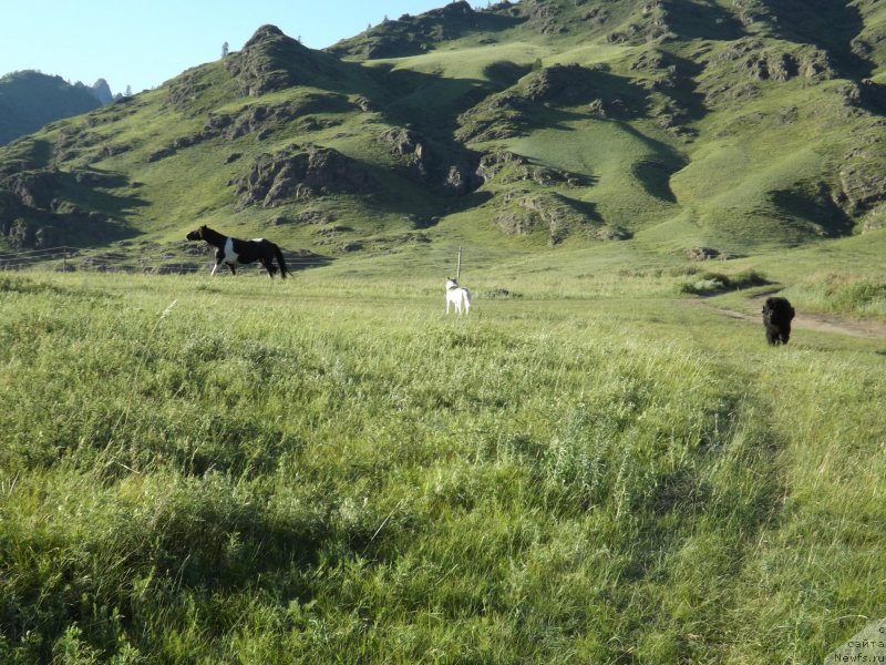 Фотография № 130310