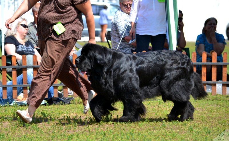 Фотография № 130312