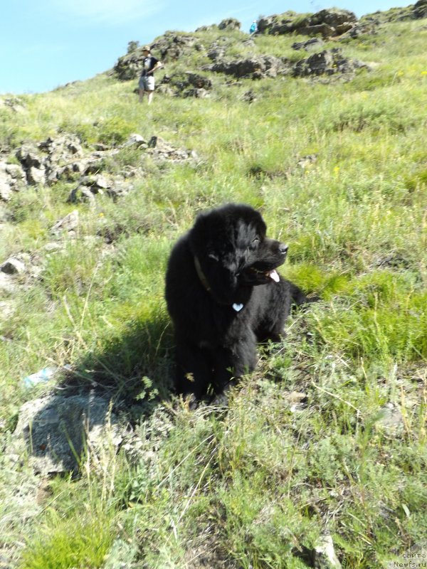 Фотография № 130313