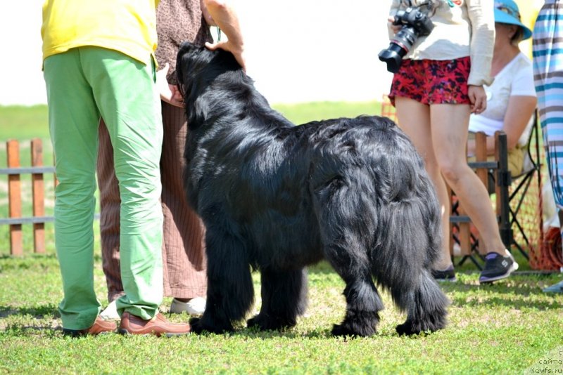 Фотография № 130317