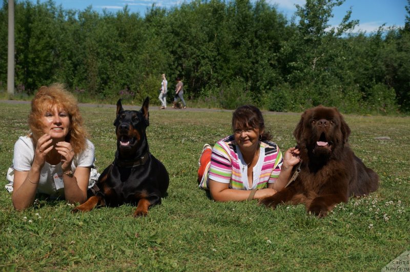 Фотография № 130329