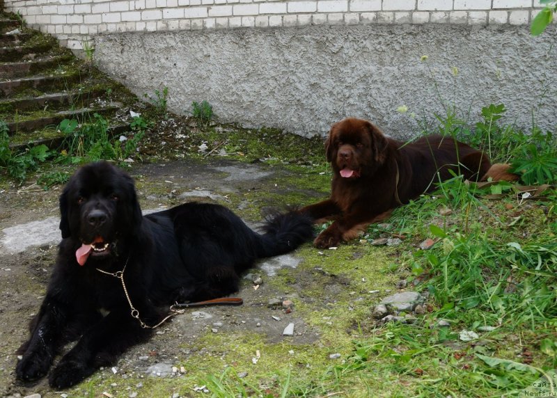 Фотография № 130330