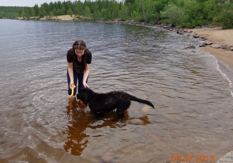 Фотография № 130335