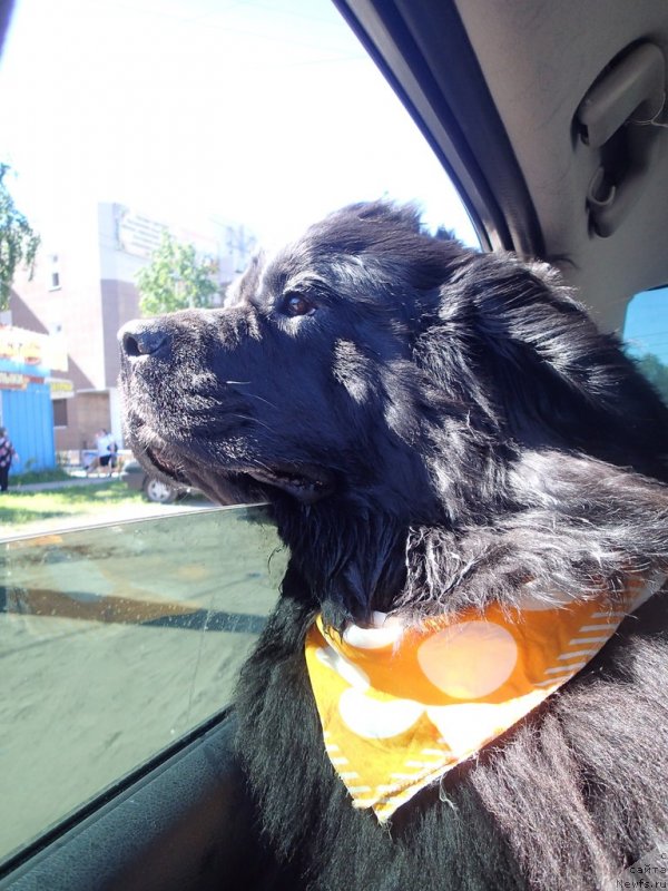 Фотография № 130340