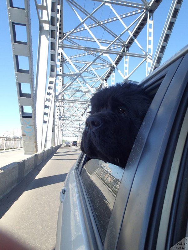 Фотография № 130341