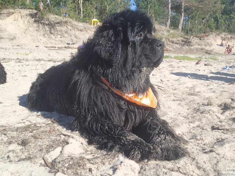 Фотография № 130344