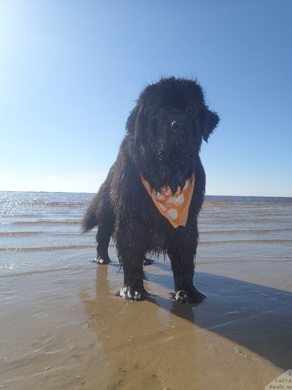 Фотография № 130346