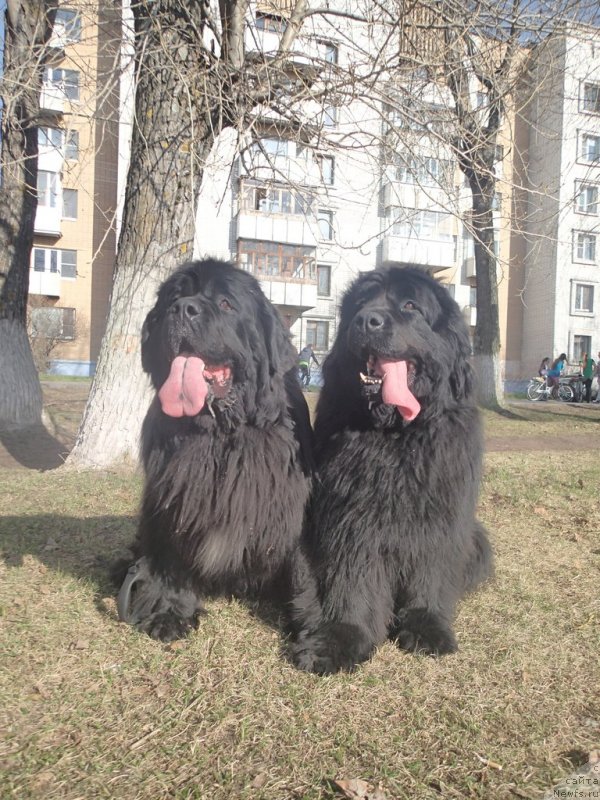 Фотография № 130347