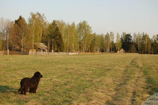 Фотография № 13036