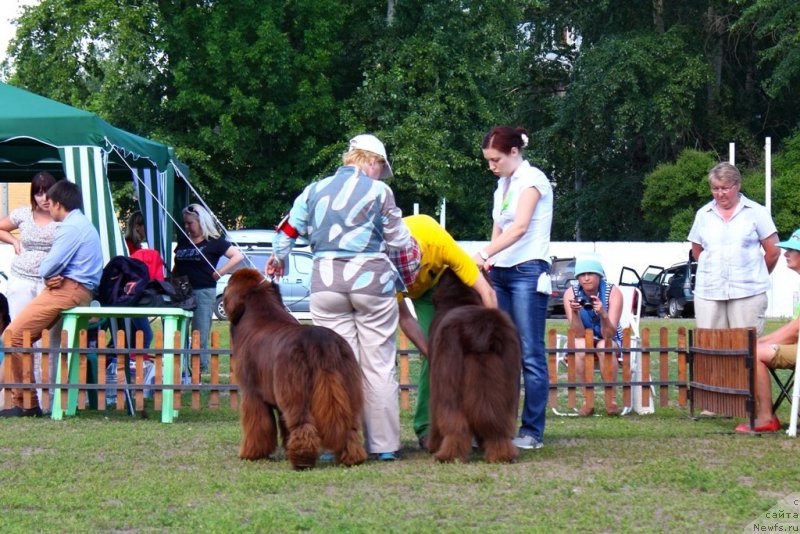 Фотография № 130366