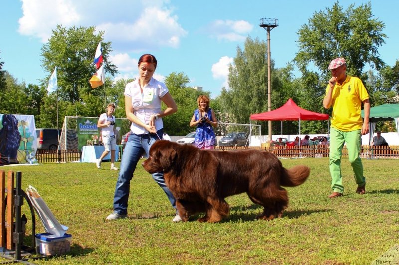 Фотография № 130372