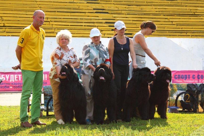 Фотография № 130374