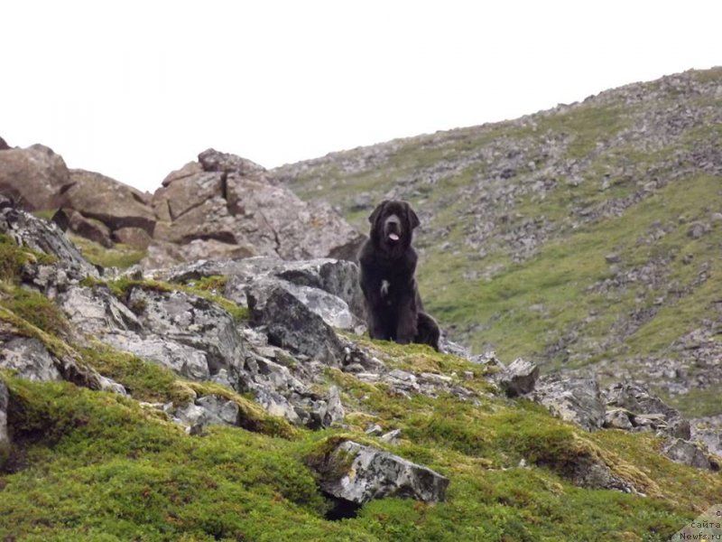 Фотография № 130376