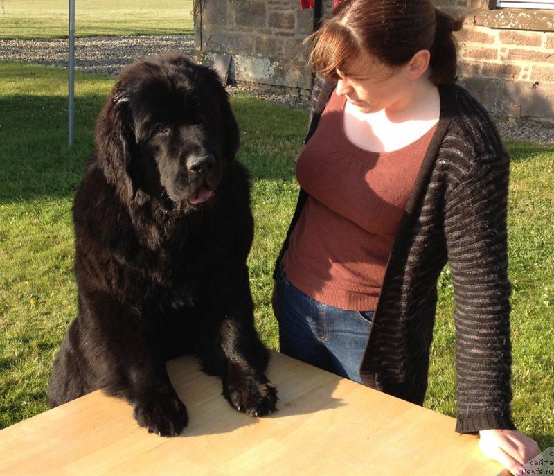 Фотография № 130380