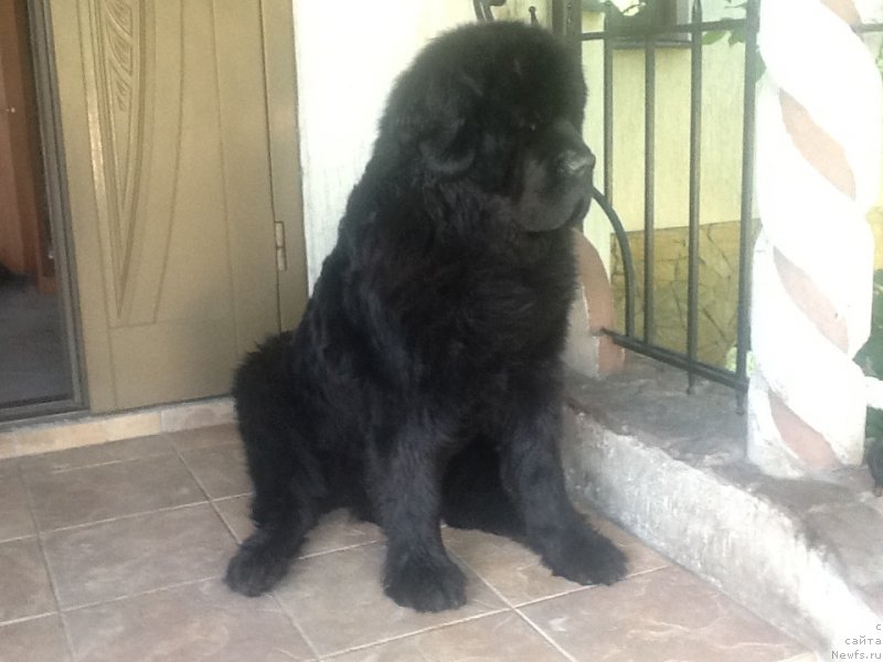 Фотография № 130390