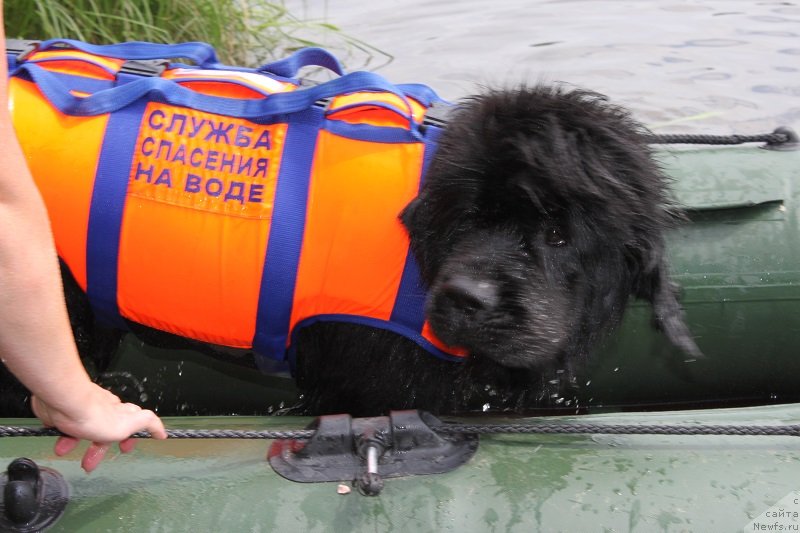 Фотография № 130404