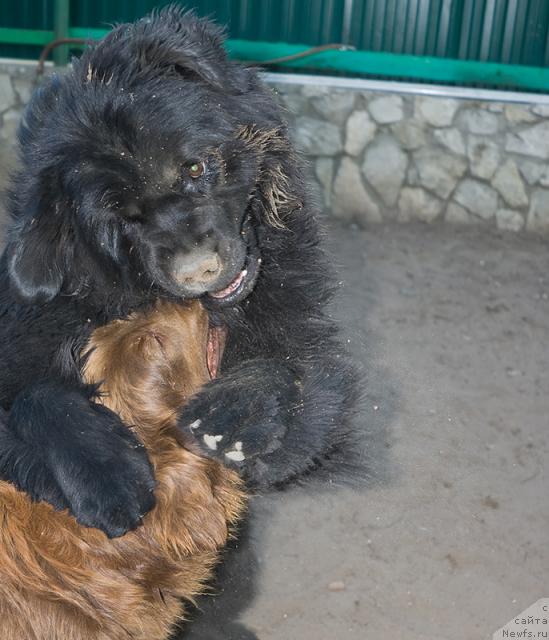 Фотография № 13041