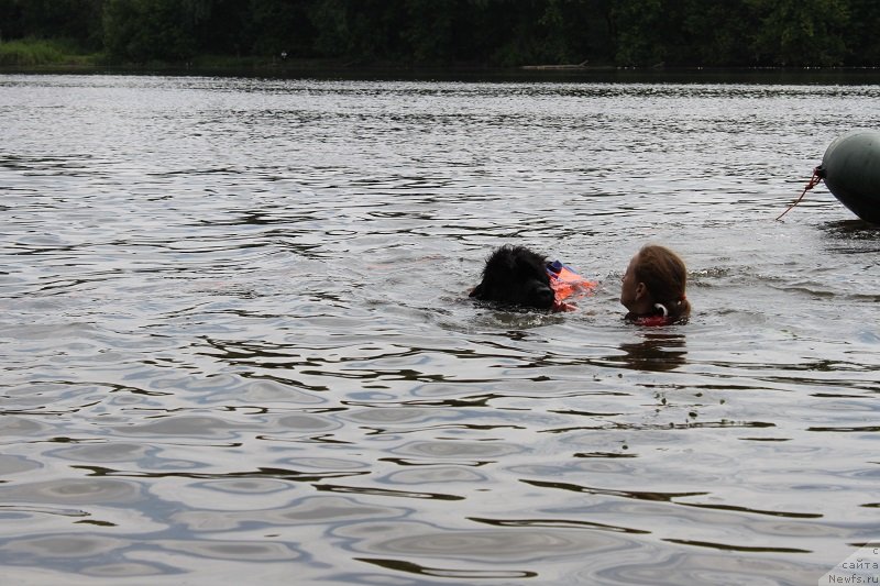 Фотография № 130410