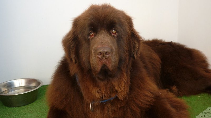 Фотография № 130417