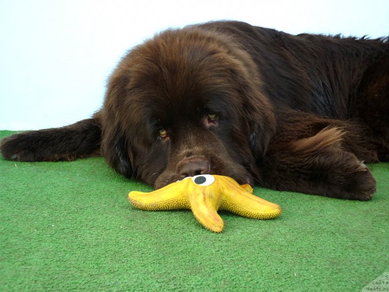 Фотография № 130418