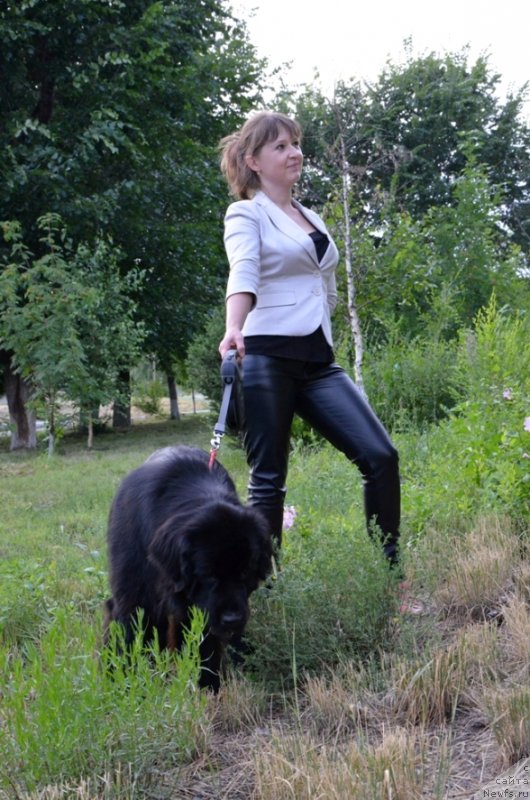 Фото: Ирина Павлова, ньюфаундленд Би Перфект Арабелла