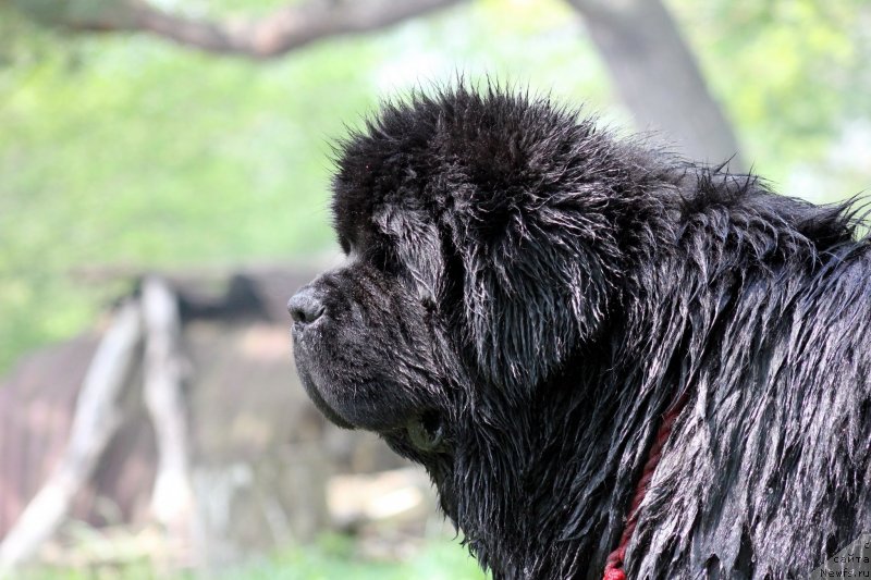 Фотография № 130430