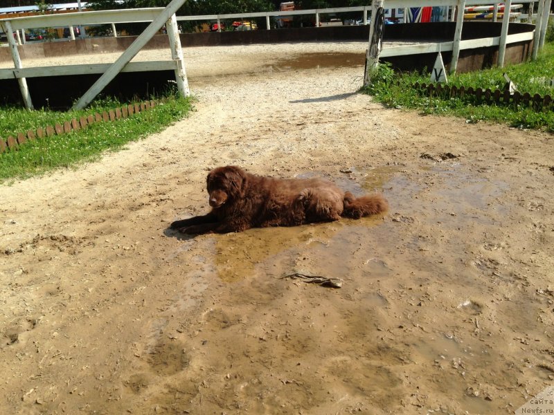 Фотография № 130435