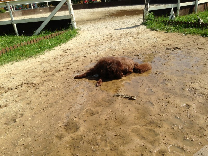 Фотография № 130436