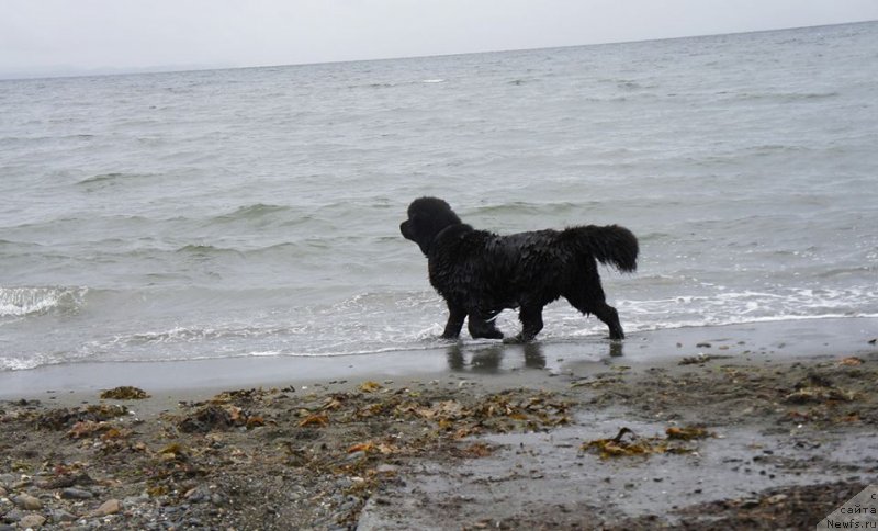 Фотография № 130437